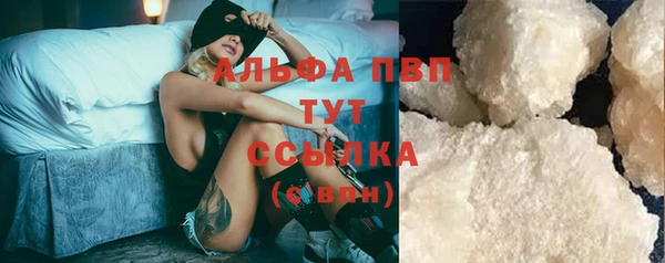 индика Заволжск