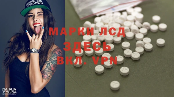 индика Заволжск