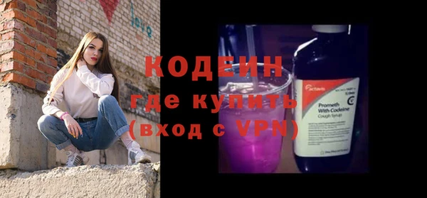 индика Заволжск