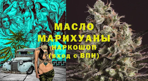 индика Заволжск