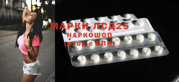 индика Заволжск
