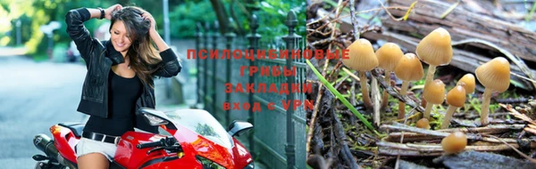 стафф Заволжье