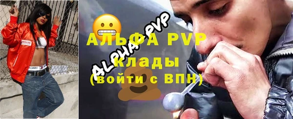 индика Заволжск
