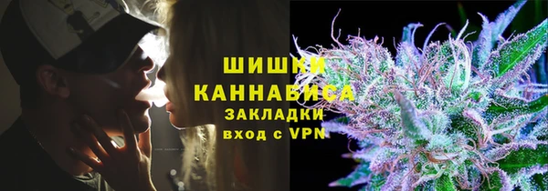крисы Заводоуковск