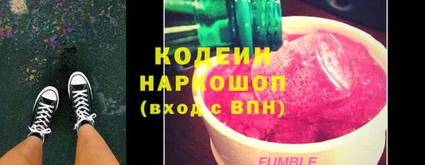 индика Заволжск