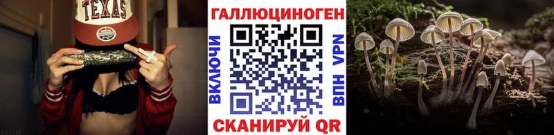 Купить закладки  Дятьково  Псилоцибиновые грибы Psilocybine cubensis 